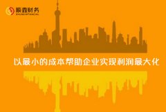 我国政府审计常用的经济责任指标有哪些